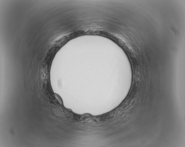 X0000115641063200912081059