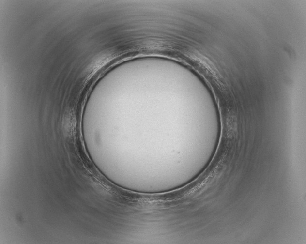 X0000115641065200912081059