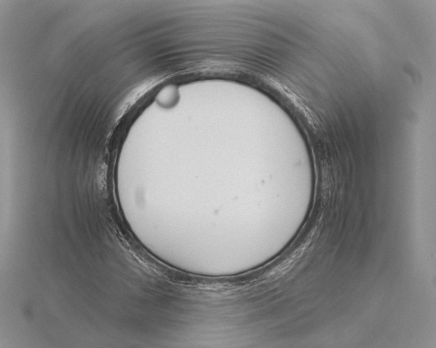 X0000115641066200912081059
