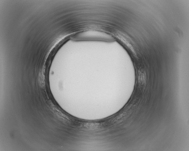 X0000115641068200912081059