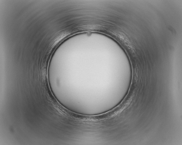 X0000115641073200912081059