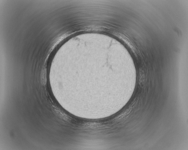 X0000115641075200912081059