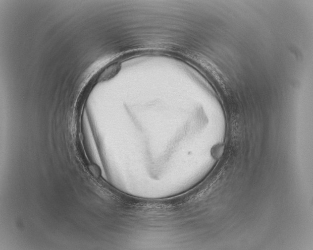 X0000115641077200912081059