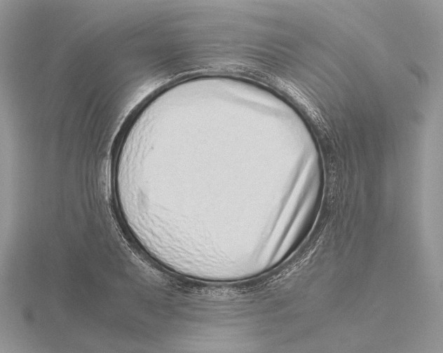 X0000115641079200912081059