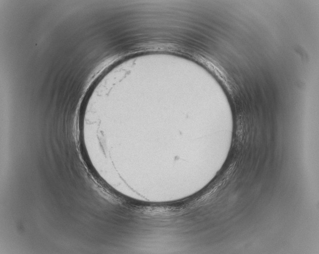 X0000115641082200912081059