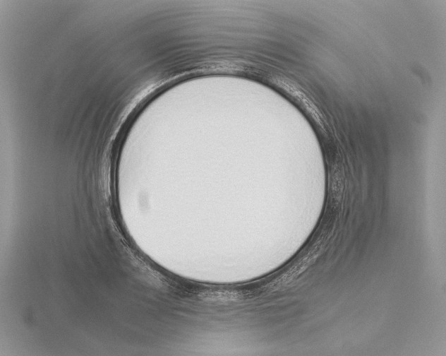 X0000115641083200912081059