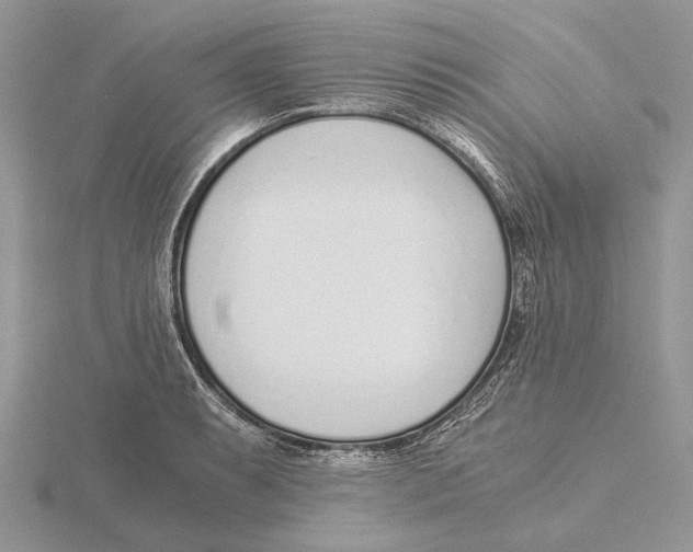 X0000115641087200912081059