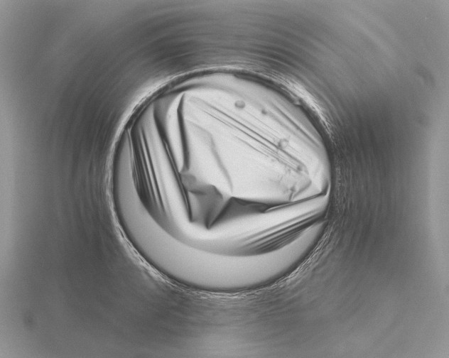 X0000115641088200912081059