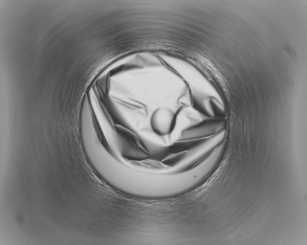 X0000115641089200912081059