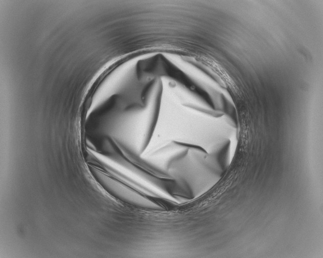 X0000115641092200912081059