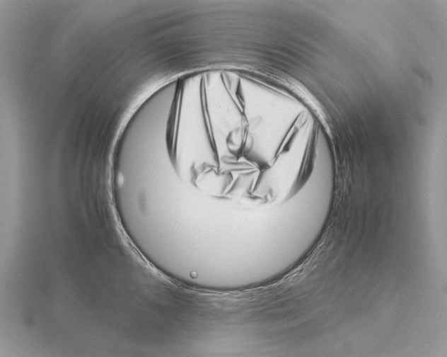 X0000115641096200912081059