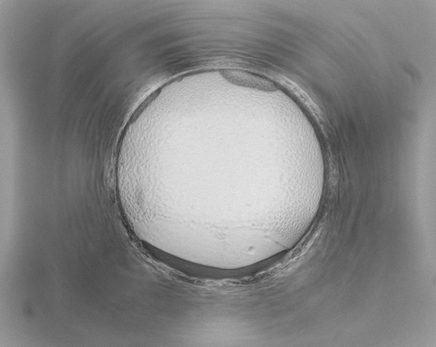 X0000115641097200912081059