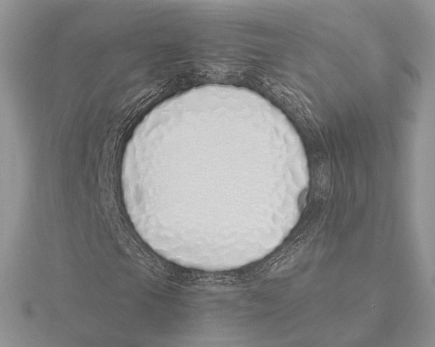 X0000115641105200912081058