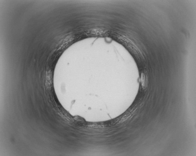 X0000115641107200912081058