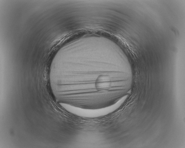 X0000115641110200912081058