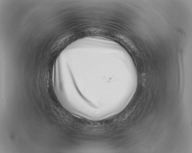 X0000115641111200912081058