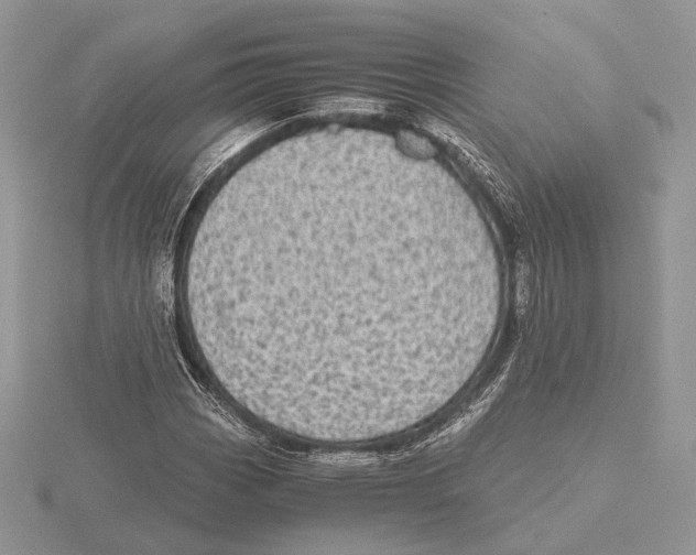 X0000115641113200912081058