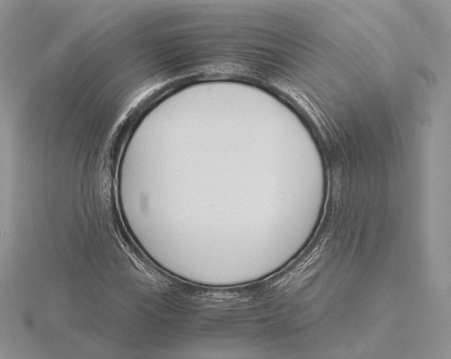 X0000115641115200912081058