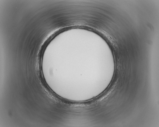 X0000115641118200912081058