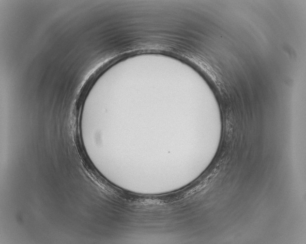 X0000115641119200912081058