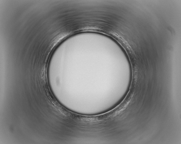 X0000115641121200912081058