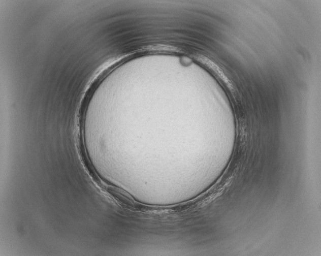 X0000115641133200912081059