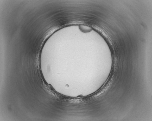 X0000115641137200912081059