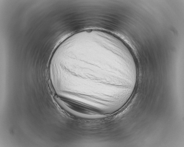 X0000115641145200912081059
