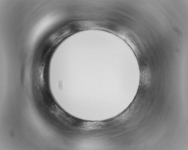 X0000115641150200912081059