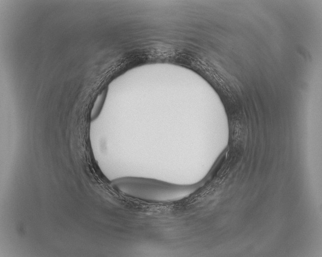 X0000115641153200912081058