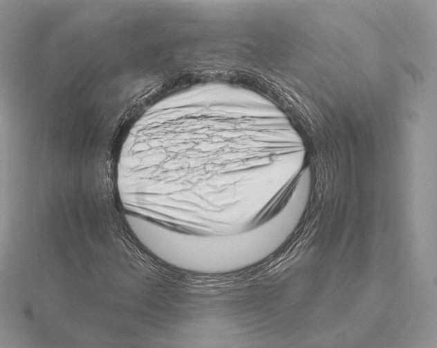 X0000115641156200912081058