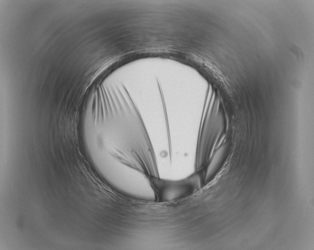 X0000115641162200912081058