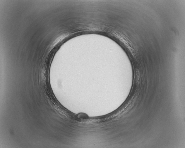X0000115641163200912081058