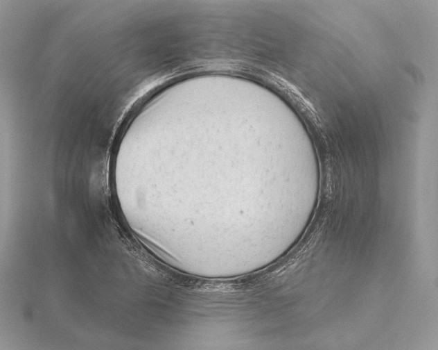 X0000115641174200912081058