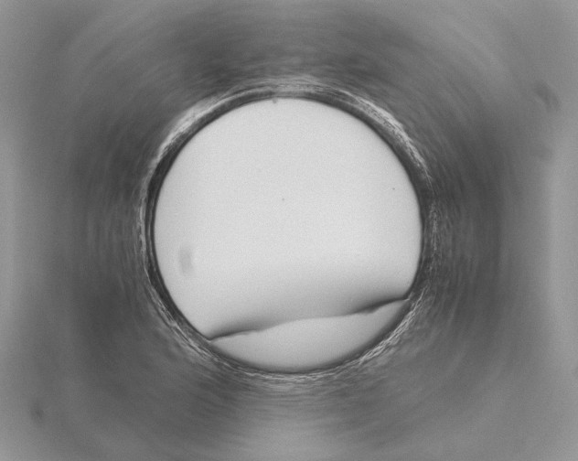 X0000115641176200912081058