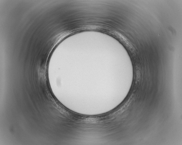 X0000115641178200912081058