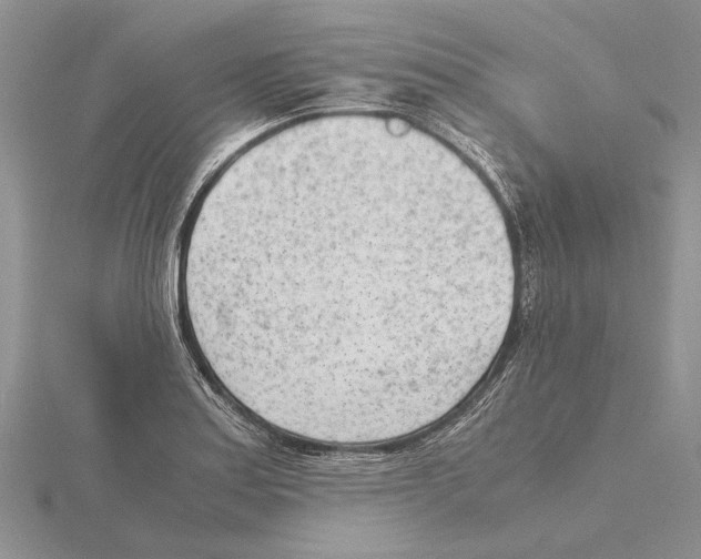 X0000115641179200912081058