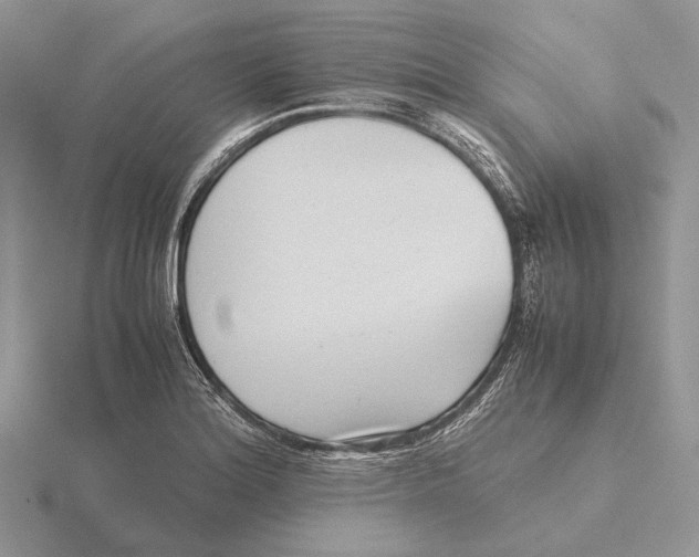 X0000115641180200912081058