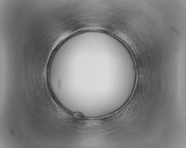 X0000115641181200912081058