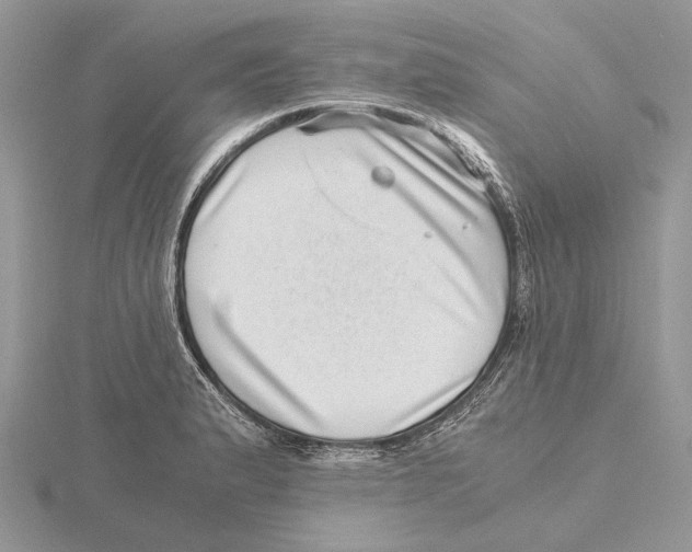 X0000115641183200912081058