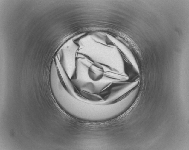 X0000115641185200912081058