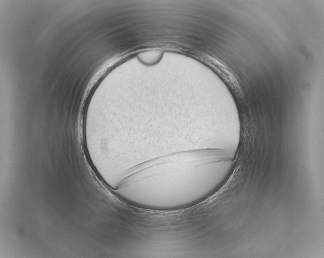 X0000115641188200912081058