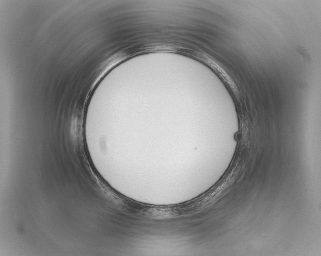 X0000115641194200912081058