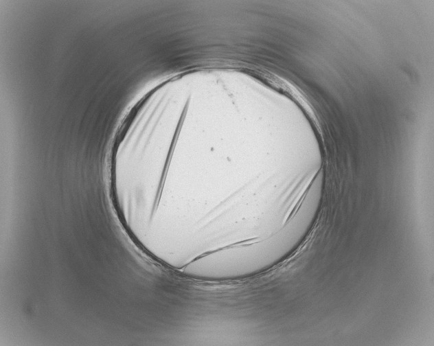 X0000115641195200912081058