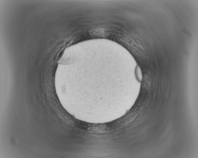 X0000115641201200912081057