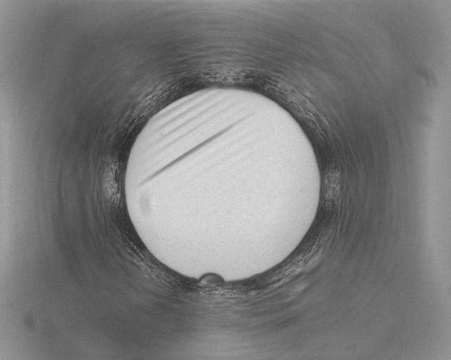 X0000115641202200912081057