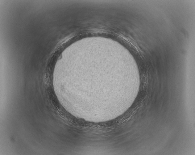 X0000115641207200912081057