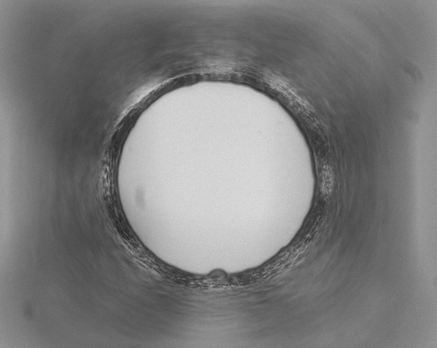 X0000115641208200912081057