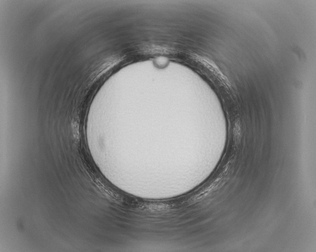 X0000115641209200912081057