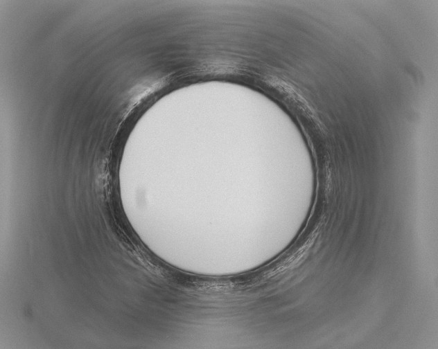 X0000115641210200912081057